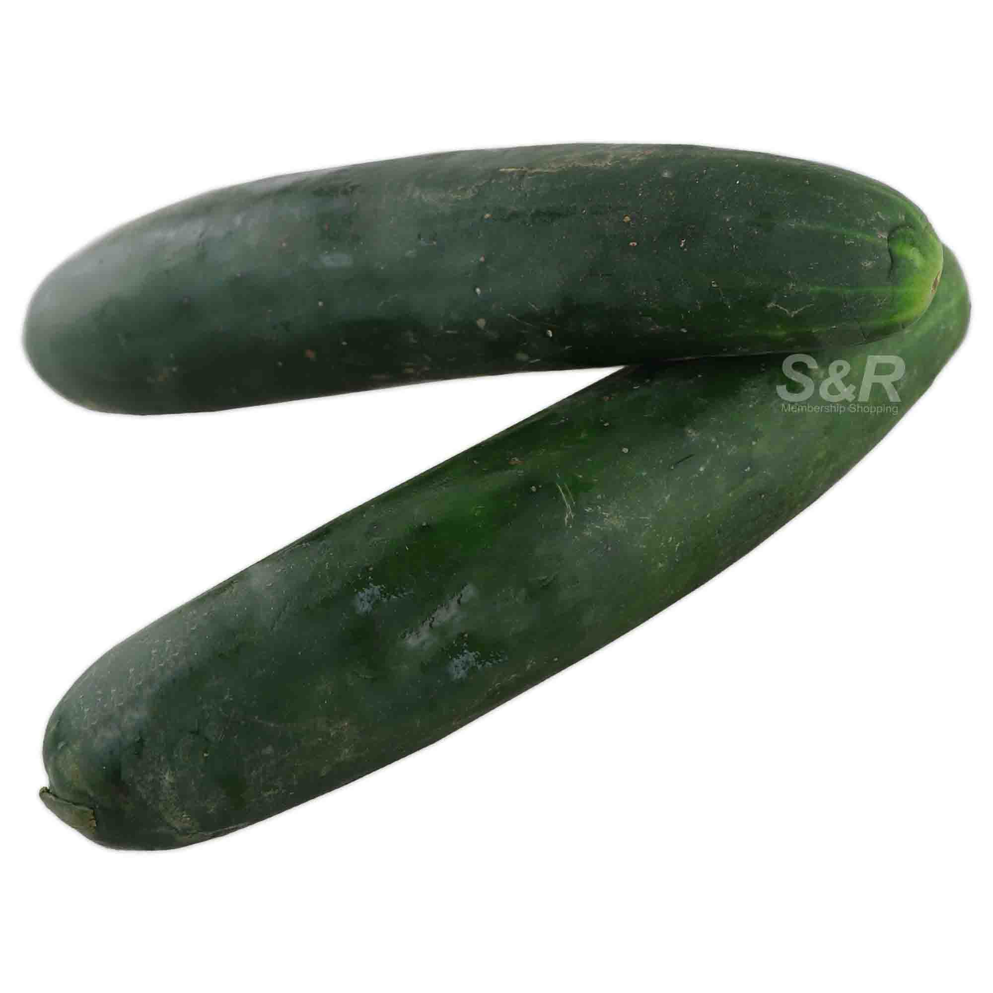S&R Native Cucumber approx. 1.2kg S&R Native Cucumber approx. 1.2kg